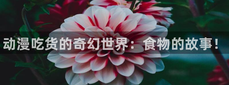 风车动漫免费全集在线播放：动漫吃货的奇幻世界：食物的故事！