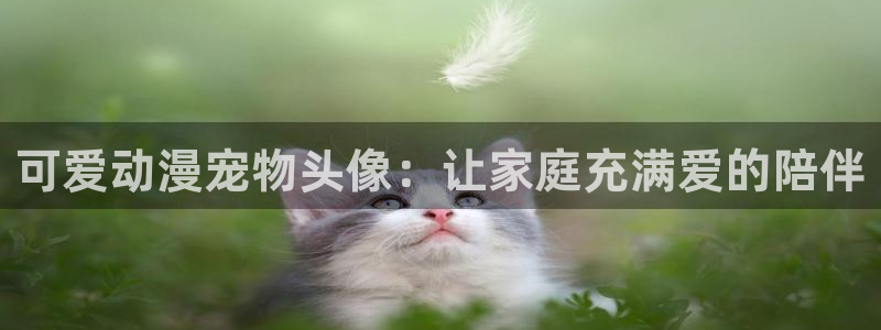 风车动漫下载版：可爱动漫宠物头像：让家庭充满爱的陪伴