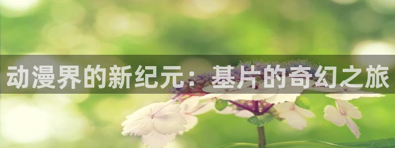 风车动漫 里番：动漫界的新纪元：基片的奇幻之旅