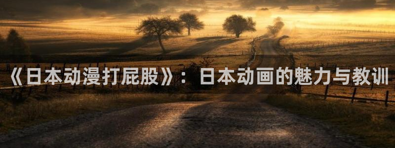 备长炭风车动漫：《日本动漫打屁股》：日本动画的魅力与教训