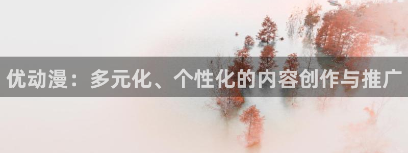 非风车动漫：优动漫：多元化、个性化的内容创作与推广