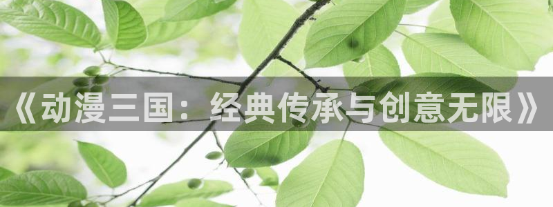 风车动漫在线观看免费高清：《动漫三国：经典传承与创意无限》