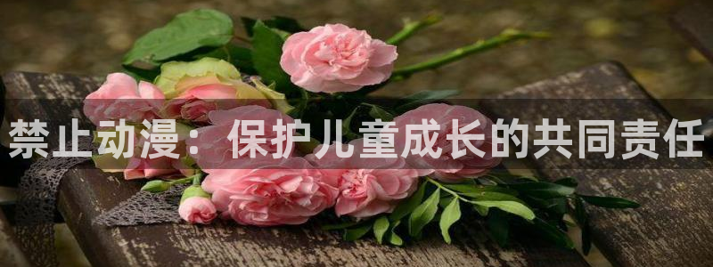 风车动漫网p：禁止动漫：保护儿童成长的共同责任