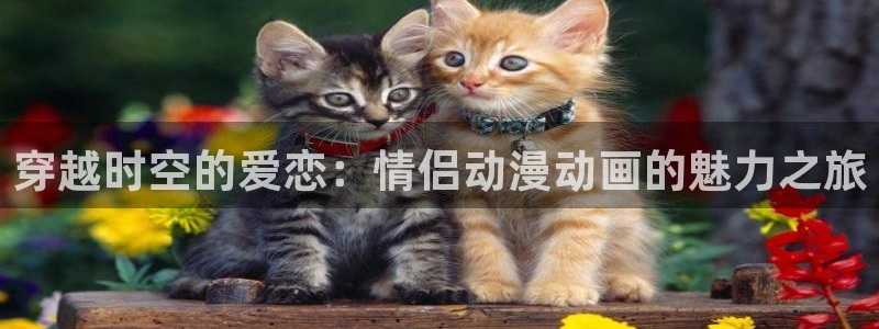 夜勤病栋风车动漫：穿越时空的爱恋：情侣动漫动画的魅力之旅